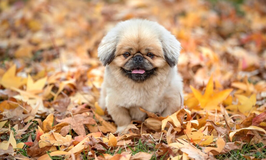 キールズの20代におすすめのスキンケア商品は？