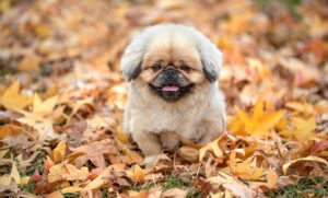 キールズの乳液が人気の理由とは？50代におすすめの選び方は？