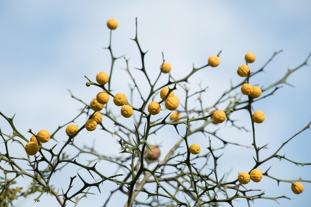 30代男性の乾燥肌の原因とは何ですか？