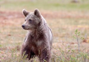 30代男性が目の下のクマを解消するためのスキンケア方法は？