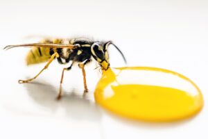 30代男性が飲酒翌日に肌荒れを防ぐための対策は？
