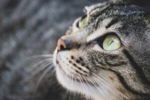30代男性が青ひげを目立たなくする方法は？